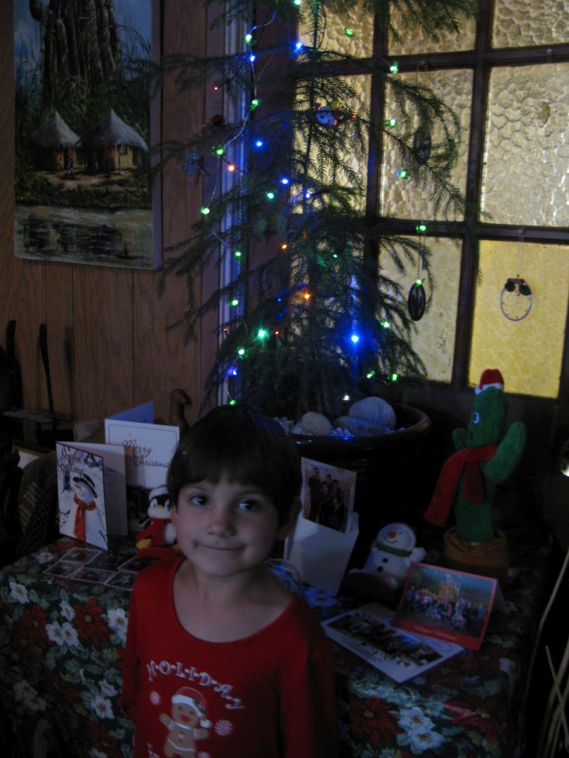 Alice and Christmas tree